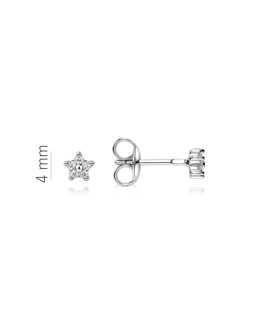 Sterling silver earrings with zircons