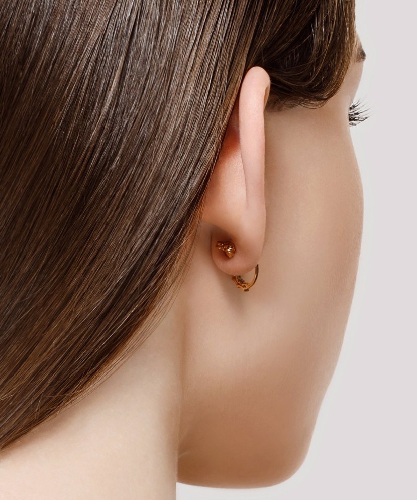 Gold earrings with zircons